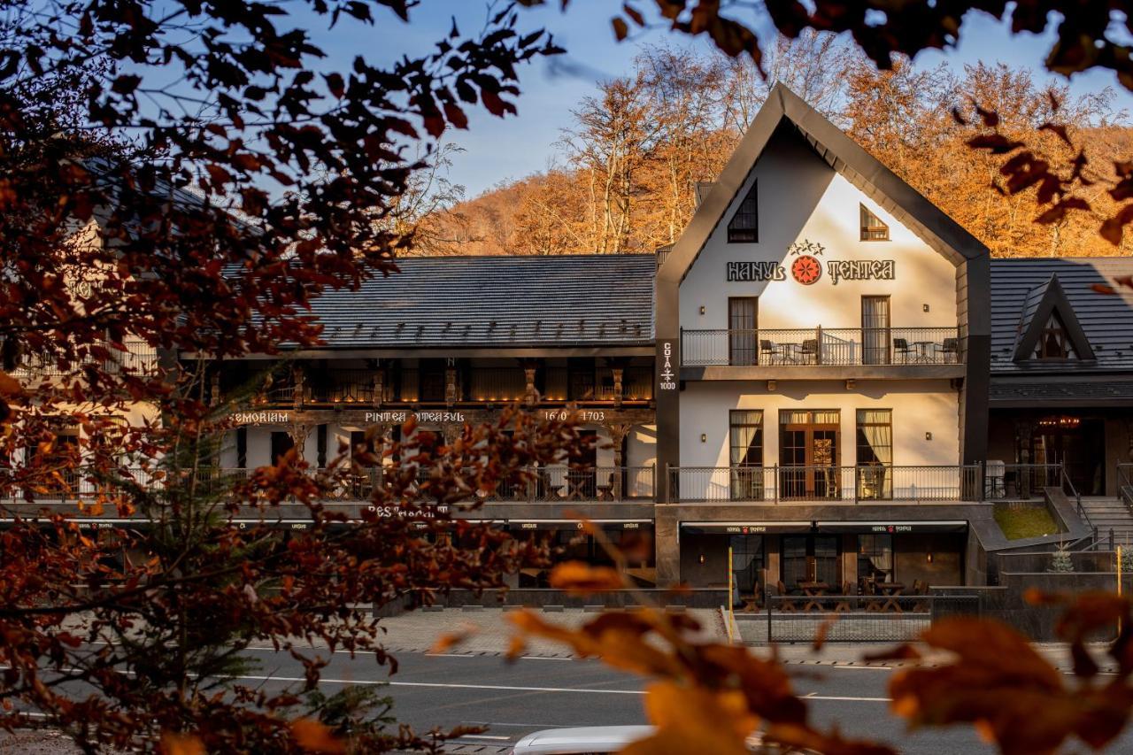 Hotel Hanul Tentea-Pasul Gutai Baia Sprie Exterior foto
