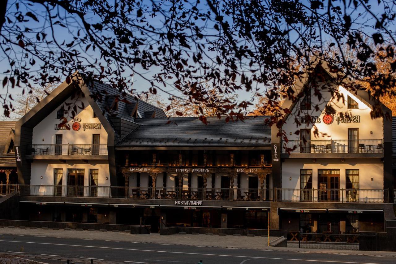Hotel Hanul Tentea-Pasul Gutai Baia Sprie Exterior foto